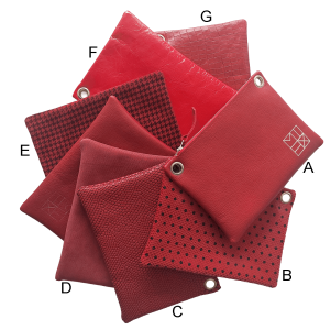 MIXI basic <br> Rood variaties